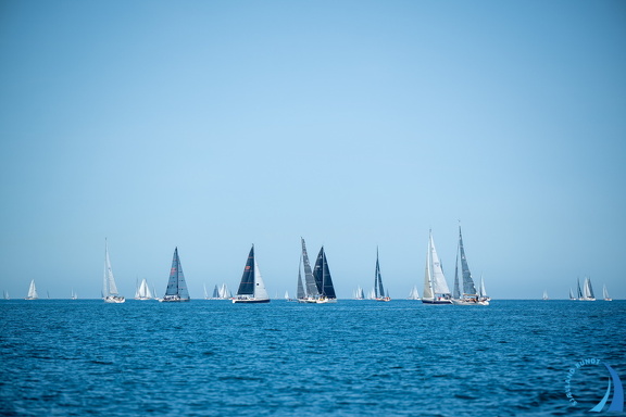 DSC 5485